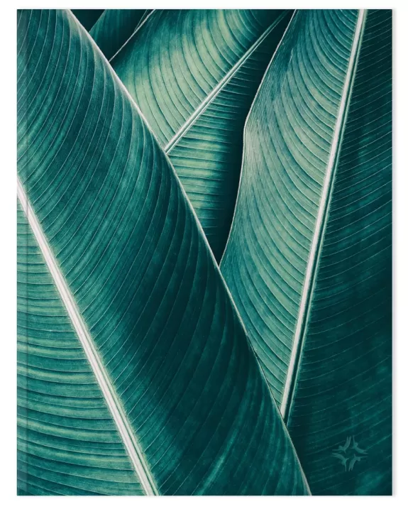 Planner Paperback Banana Leaf Front Image
